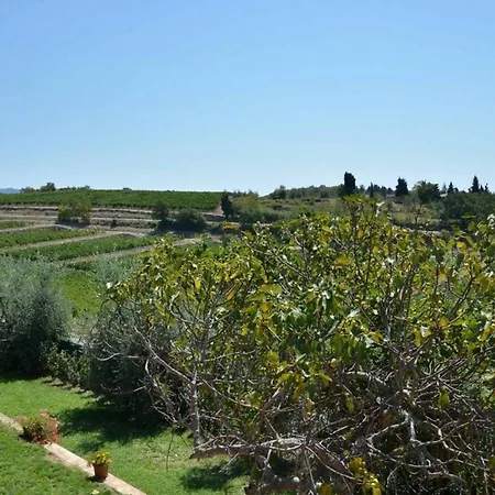 Casuccia Di Ama Villa *